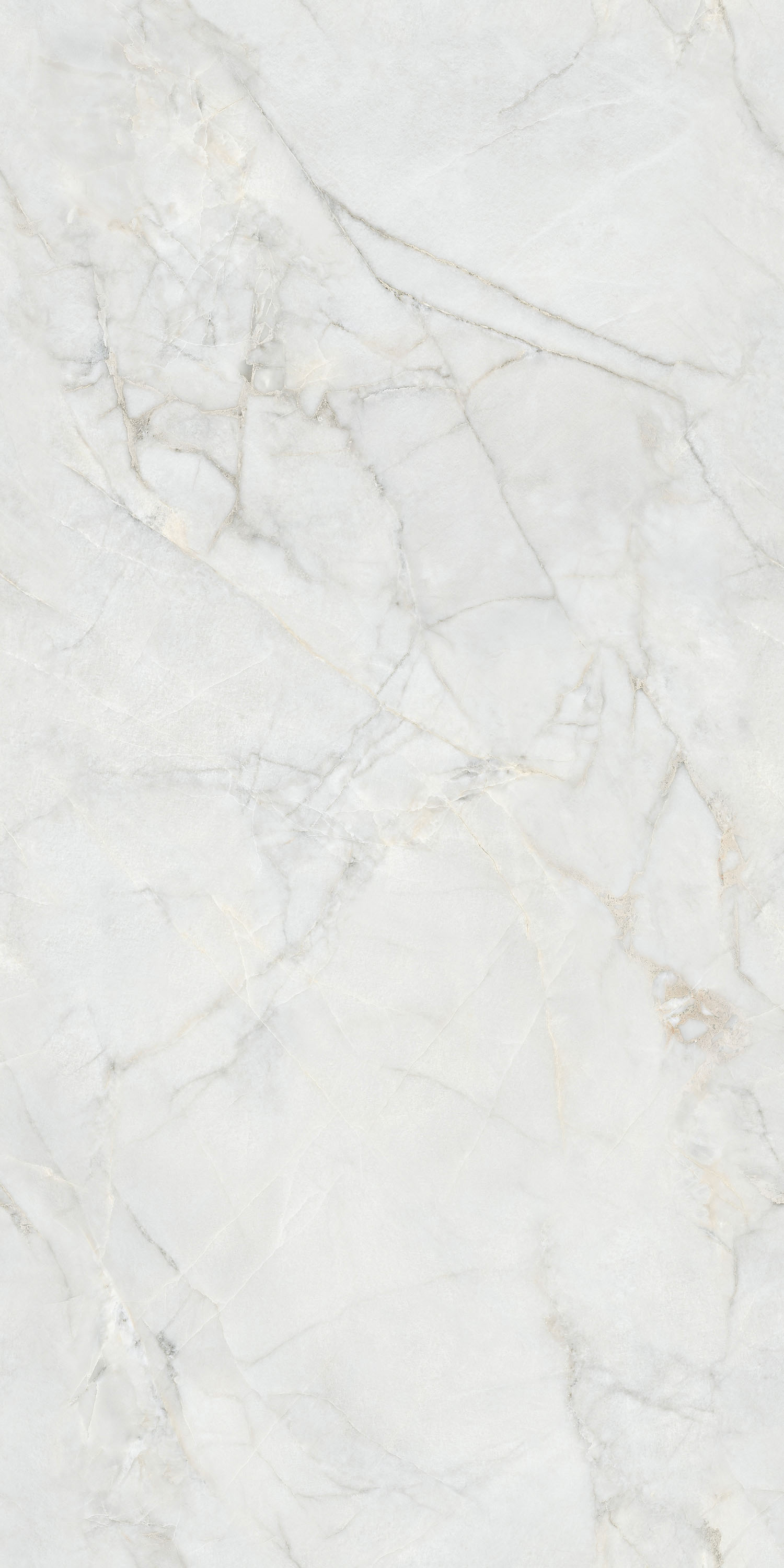 伟德BETVLCTOR1946始于英国(中国游)·官网