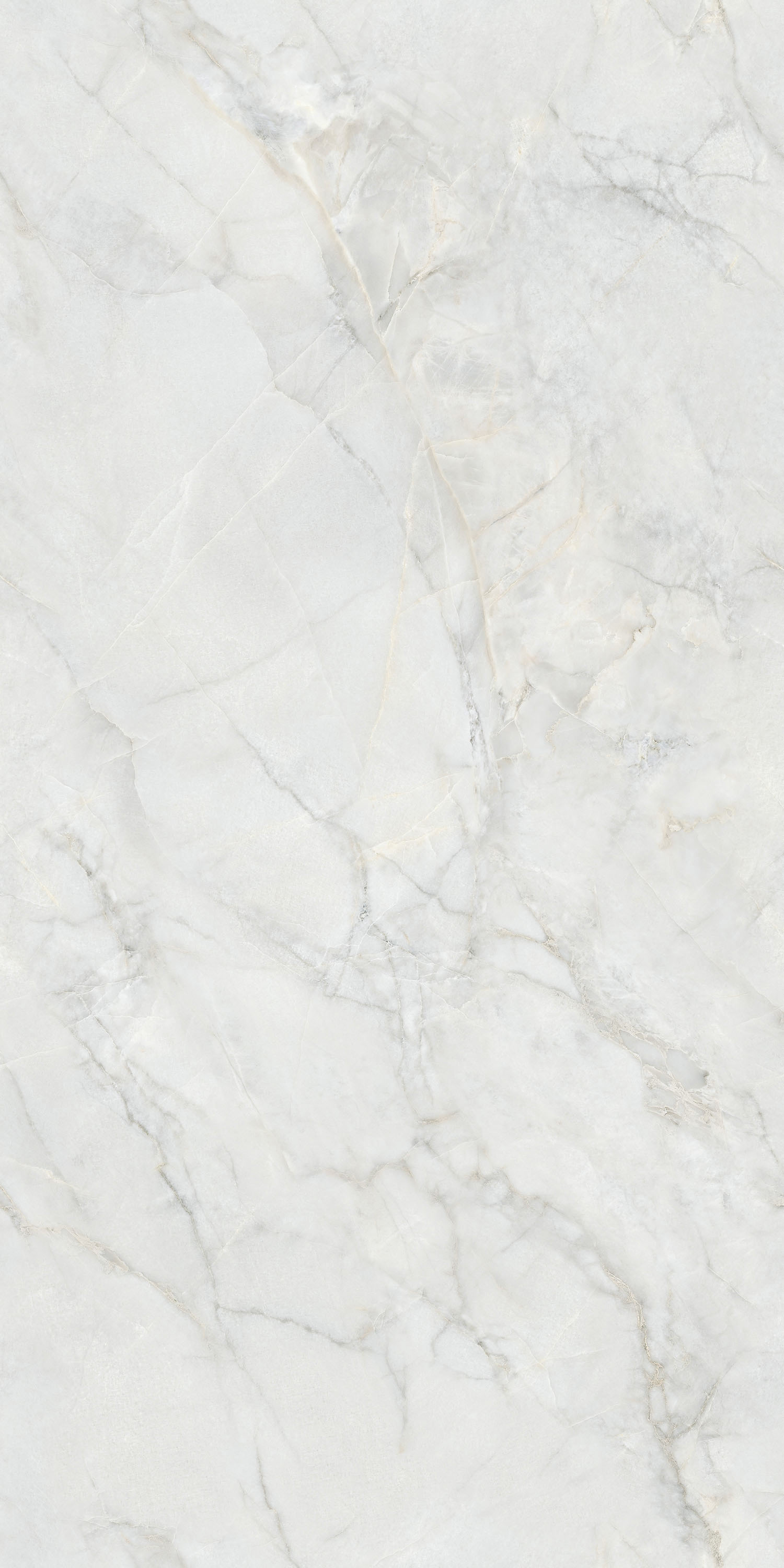 伟德BETVLCTOR1946始于英国(中国游)·官网