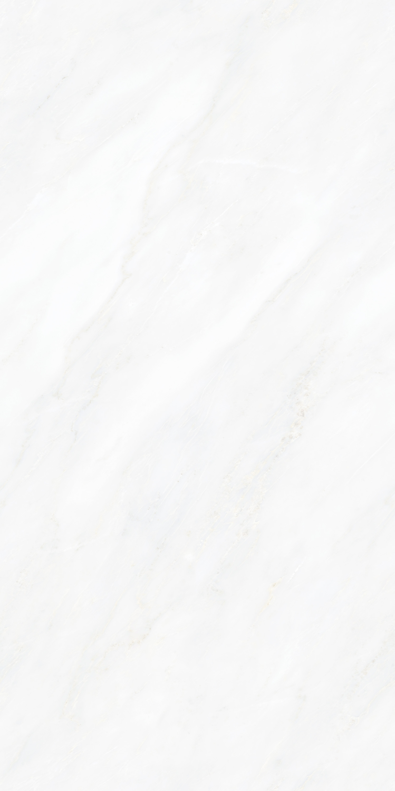 伟德BETVLCTOR1946始于英国(中国游)·官网