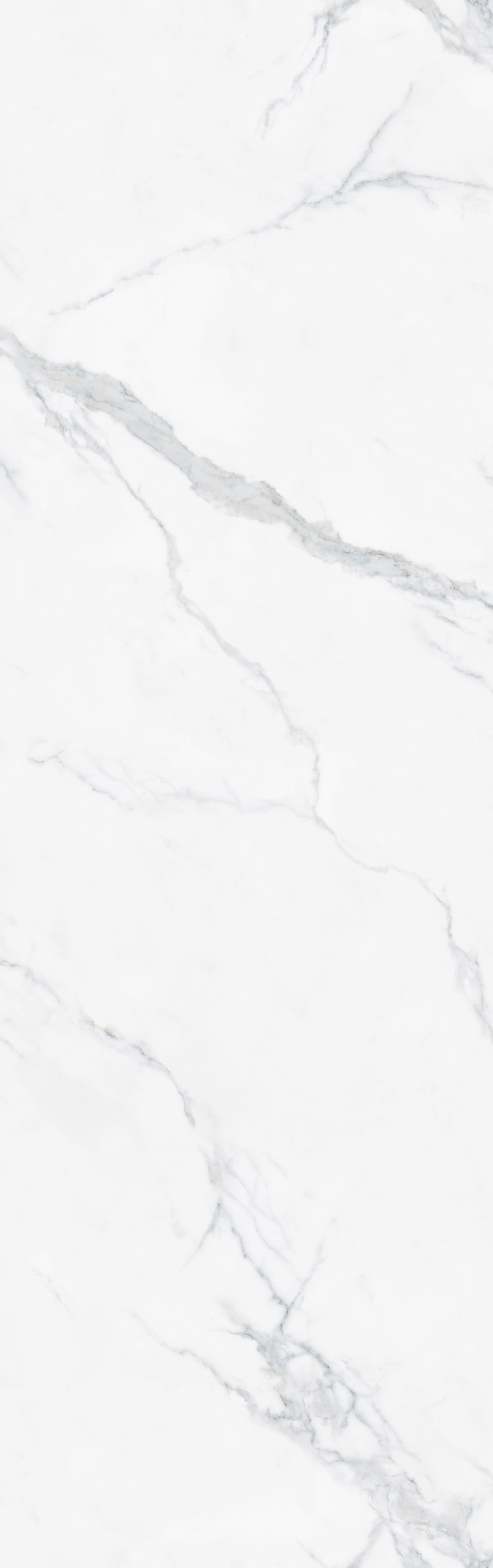 伟德BETVLCTOR1946始于英国(中国游)·官网