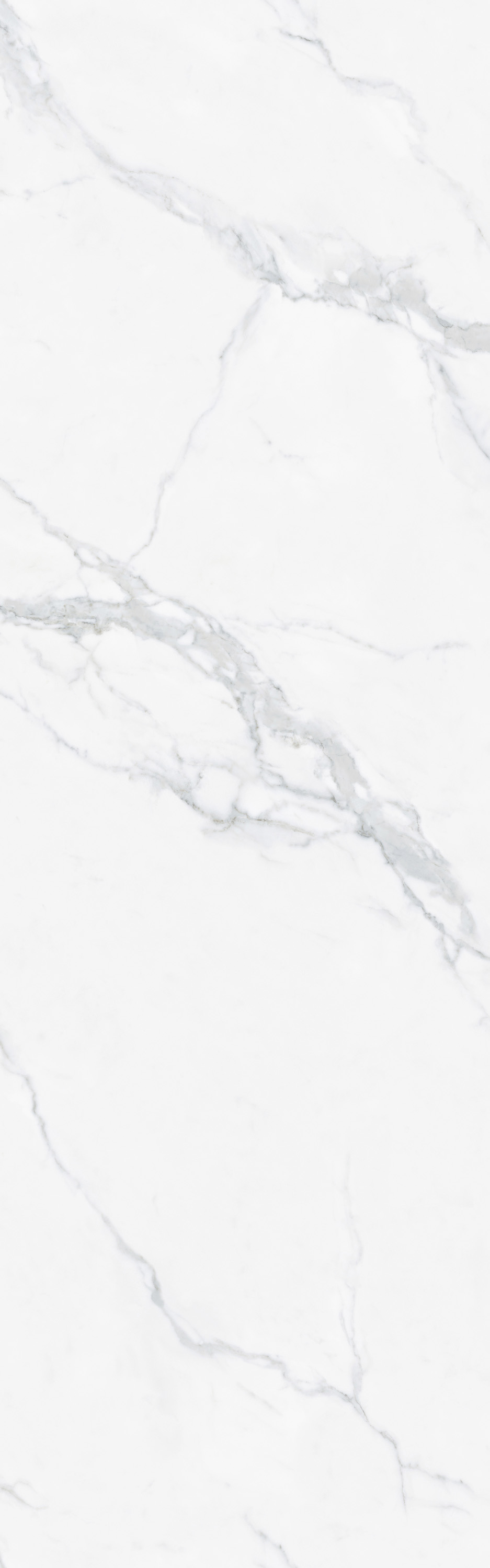 伟德BETVLCTOR1946始于英国(中国游)·官网