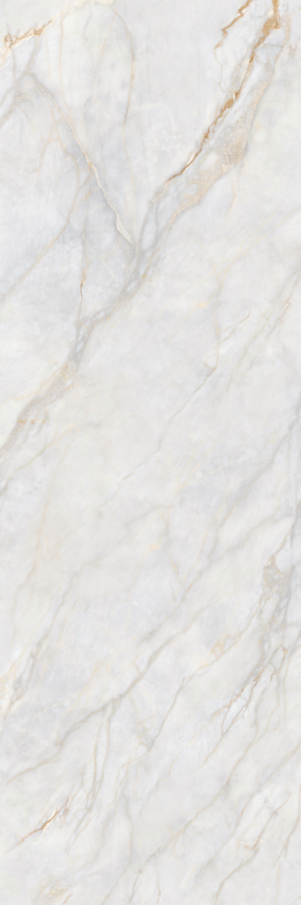 伟德BETVLCTOR1946始于英国(中国游)·官网