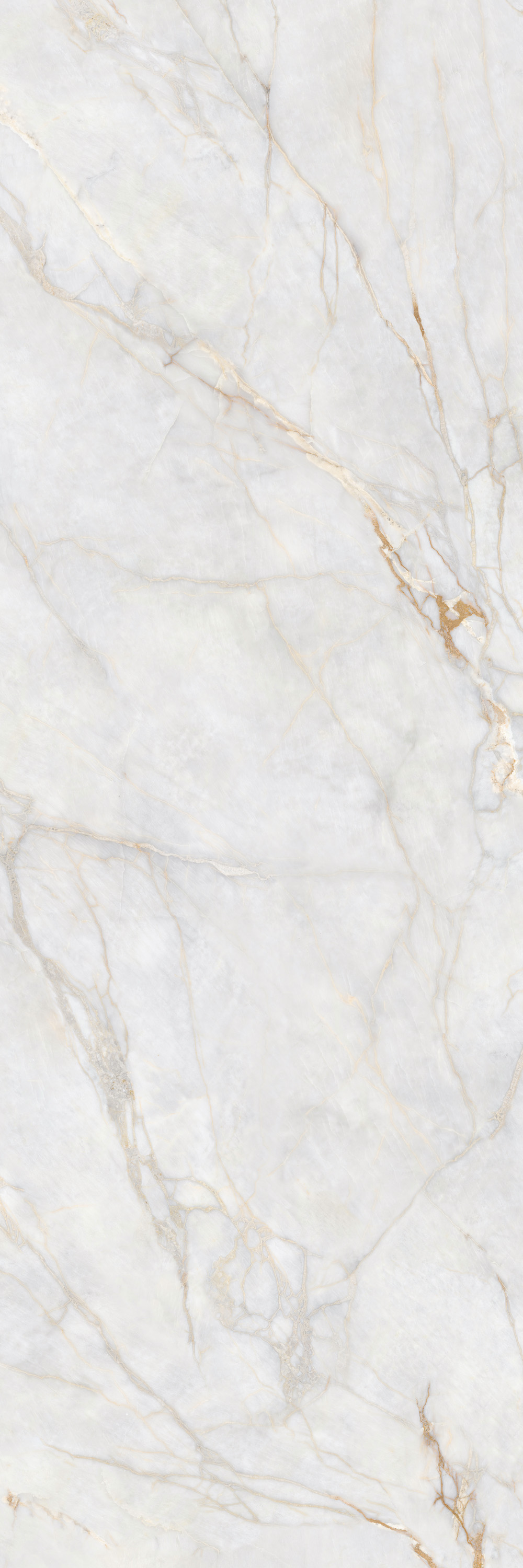 伟德BETVLCTOR1946始于英国(中国游)·官网