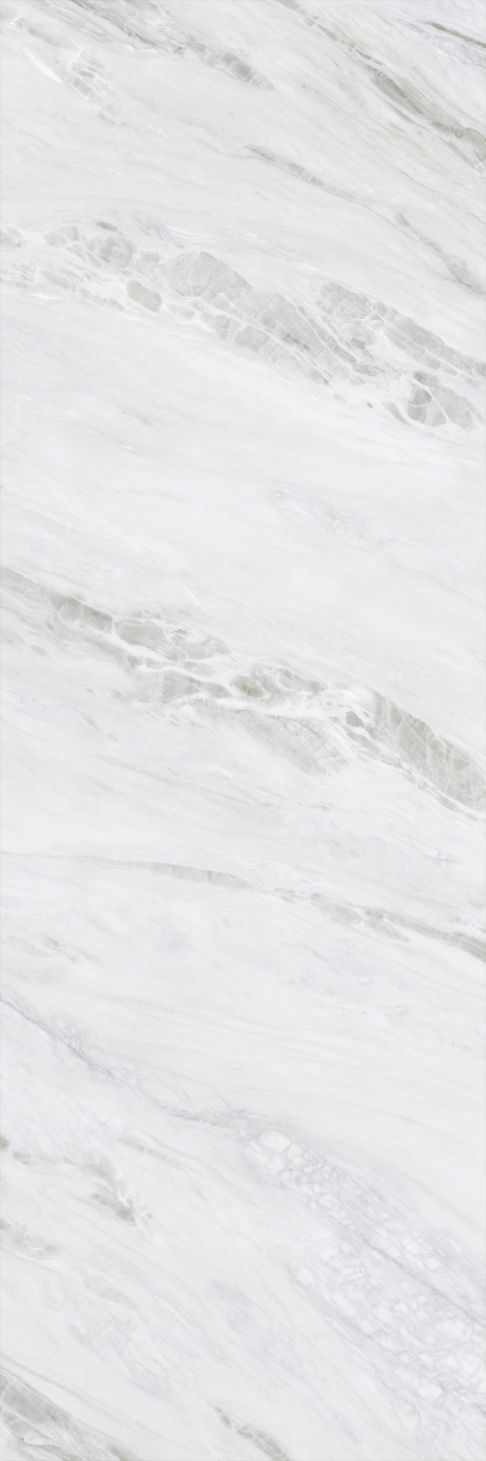 伟德BETVLCTOR1946始于英国(中国游)·官网