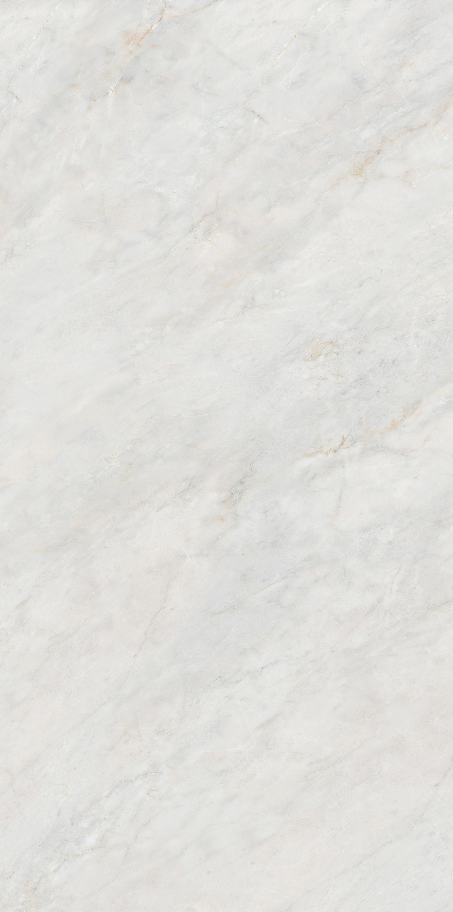 伟德BETVLCTOR1946始于英国(中国游)·官网