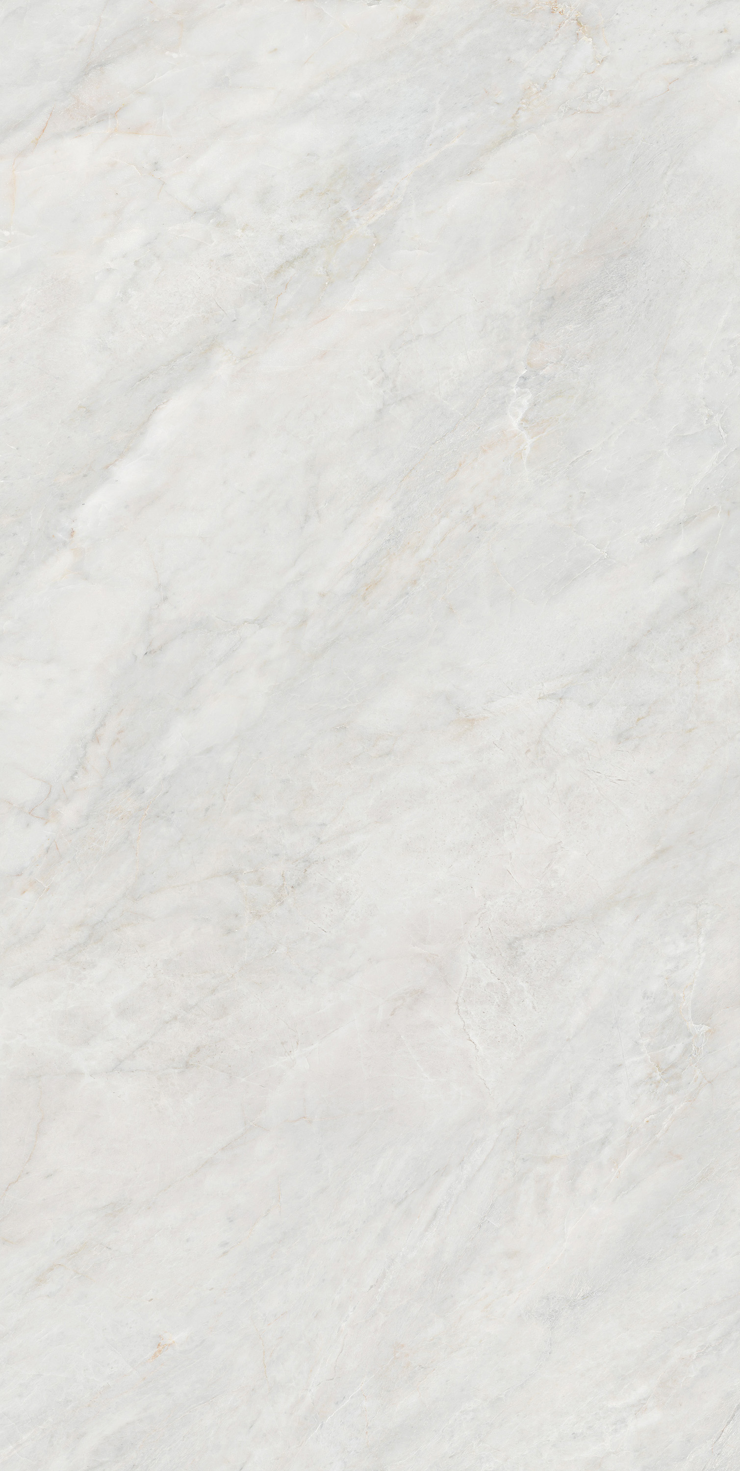 伟德BETVLCTOR1946始于英国(中国游)·官网