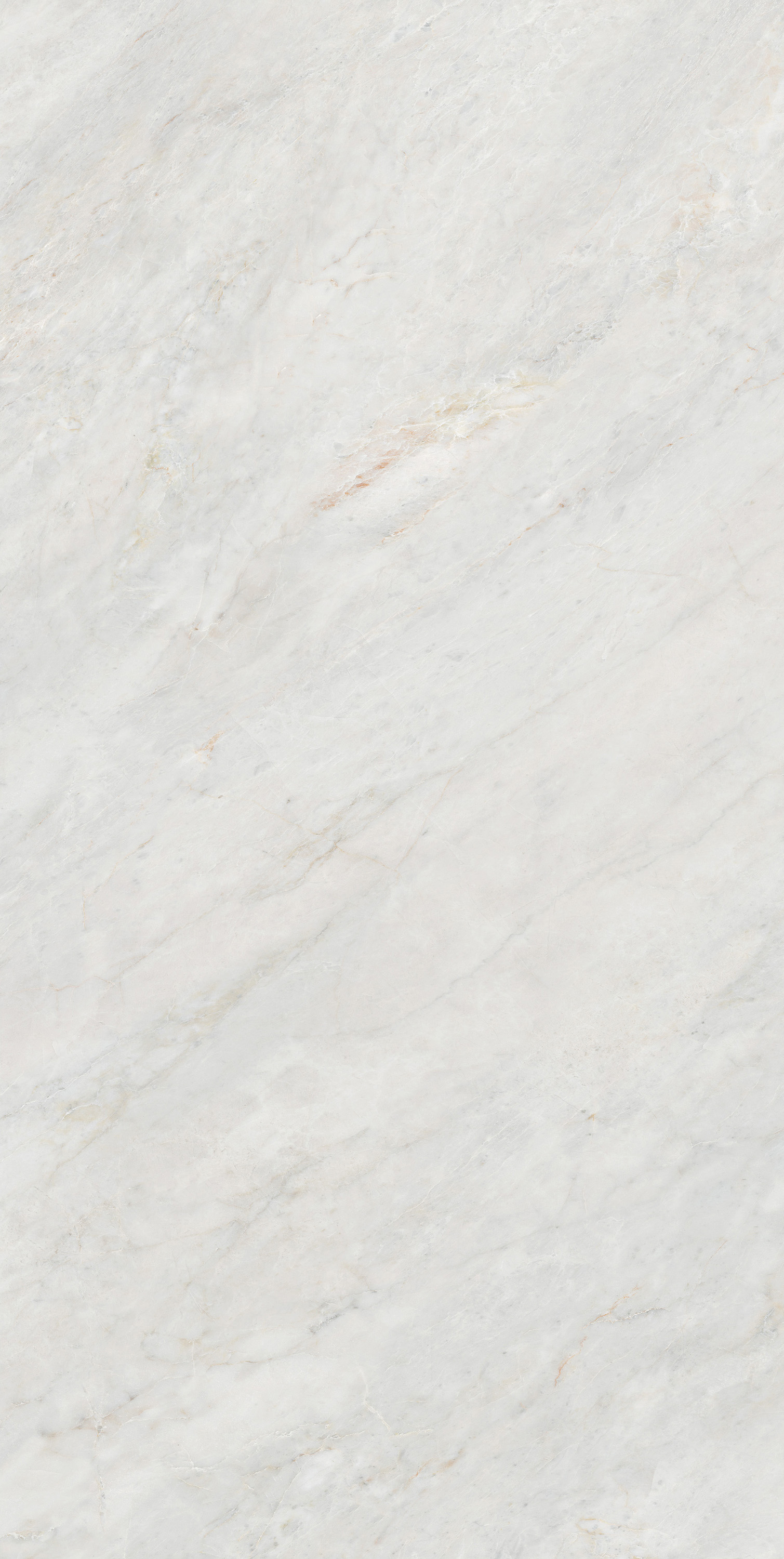 伟德BETVLCTOR1946始于英国(中国游)·官网