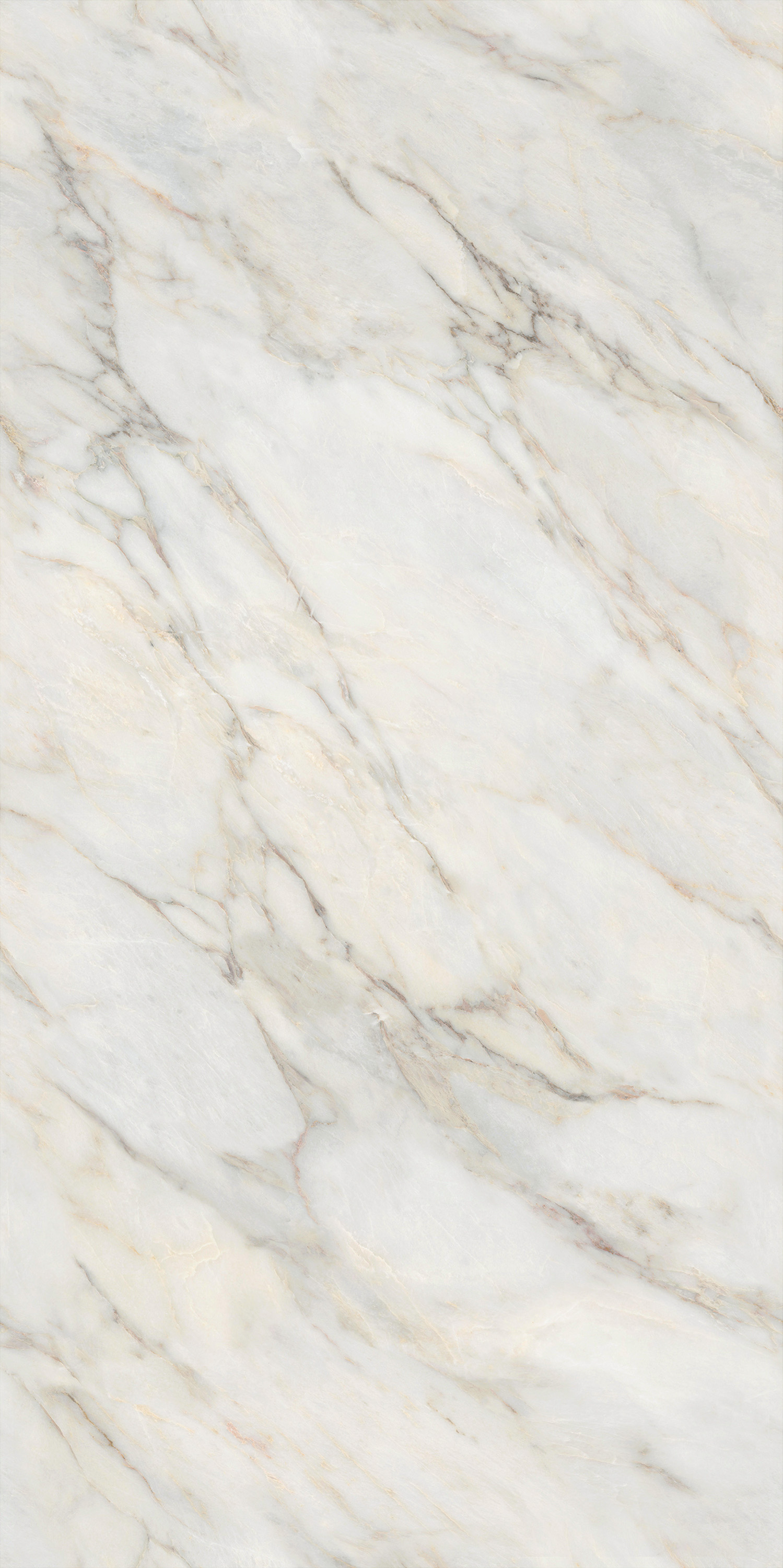 伟德BETVLCTOR1946始于英国(中国游)·官网